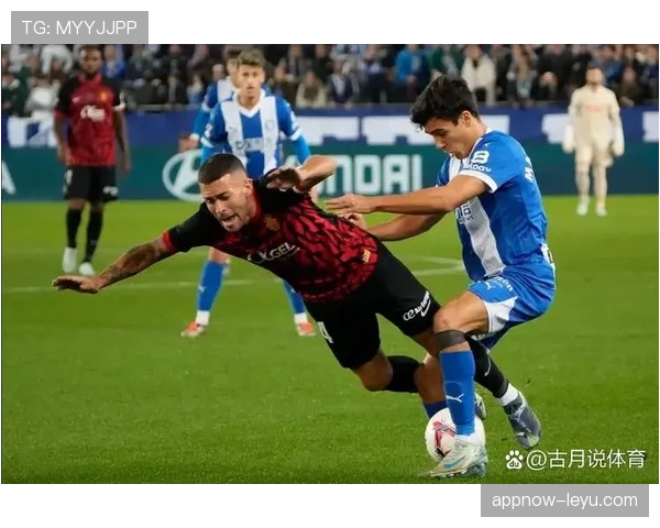 西甲球迷互动热潮：赛场内外的激情与故事引关注