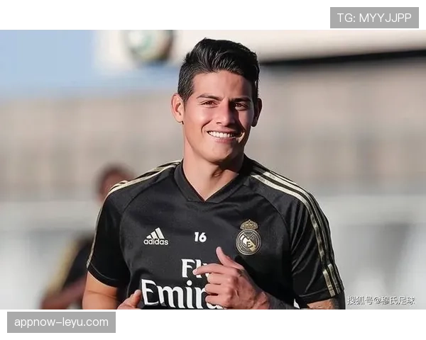 梅赫伦数据分析揭示：球队本季表现显著提升，冲击更高成就备受期待