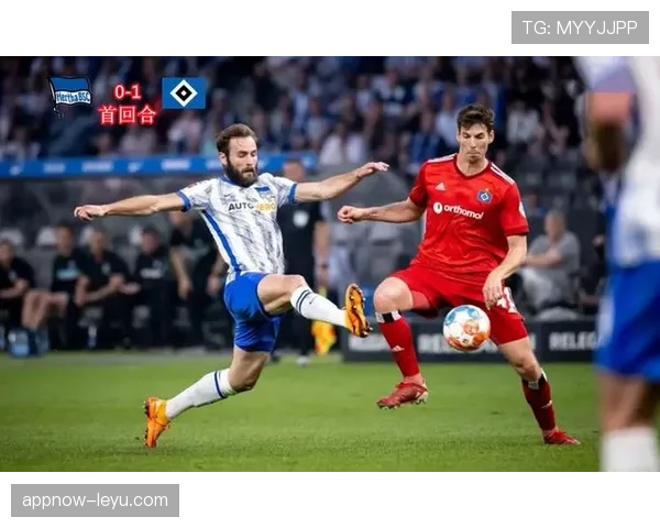 赫塔战术革新成效显著，季后赛前景引热议